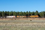 BNSF 3768